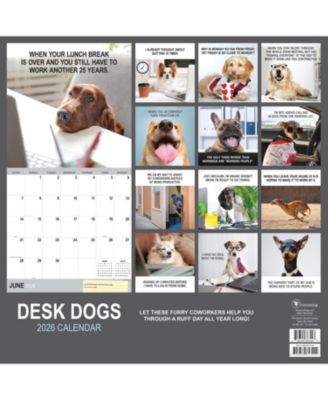 2026 Desk Dogs Wall Calendar