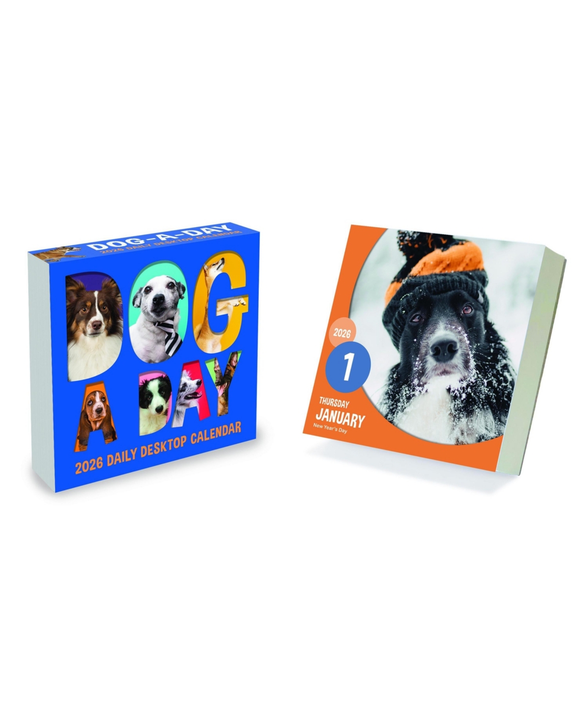 2026 Dog A Day Daily Desktop Calendar - Multicolor