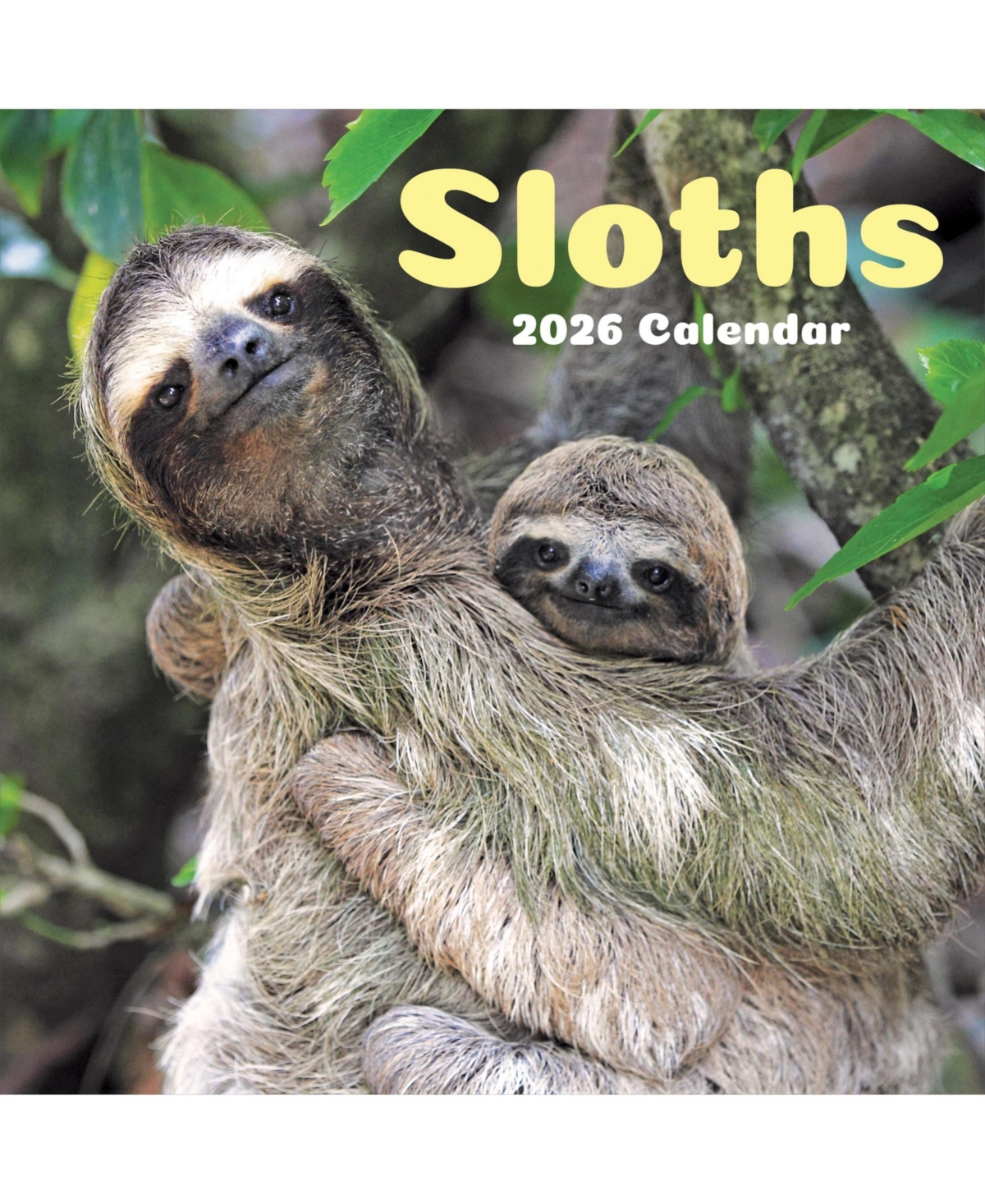 2026 Sloths Wall Calendar - Multicolor