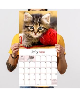 2026 Kittens Wall Calendar