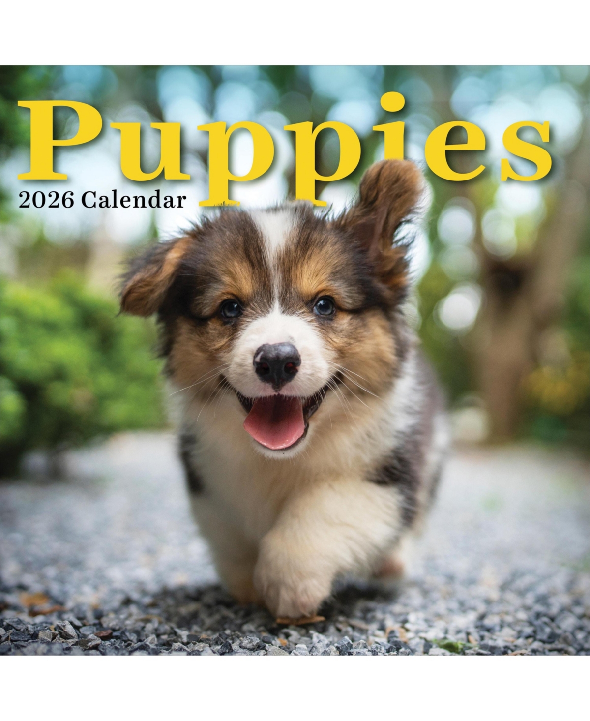 2026 Puppies Wall Calendar - Multicolor