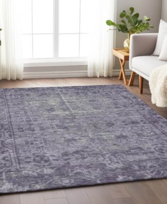 Chantille Machine Washable ACN1228 2'6"x3'10" Area Rug