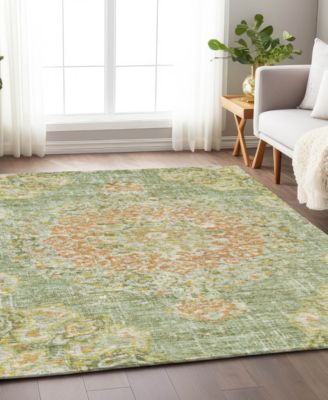 Chantille Machine Washable ACN1236 8'x10' Area Rug