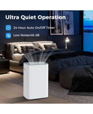 Dehumidifier with Auto Drain or Manual Drainage for Home Basement