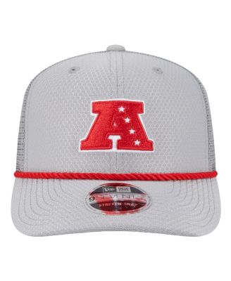 Men's Gray Las Vegas Raiders 2025 Pro Bowl 9SEVENTY Stretch-Snap Hat