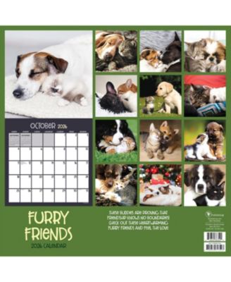 2026 Furry Friends Wall Calendar