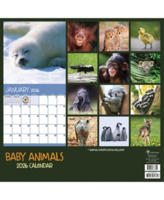 2026 Baby Animals Wall Calendar
