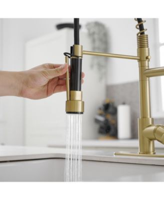 Contemporary Single Handle Pull-Down Spring Faucet with Sprayer and Deck Plate Commercial Kitchen Faucet
