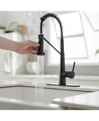 Single-Handle Pull-Down Sprayer 2 Spray High Arc Kitchen Faucet With Deck Plate