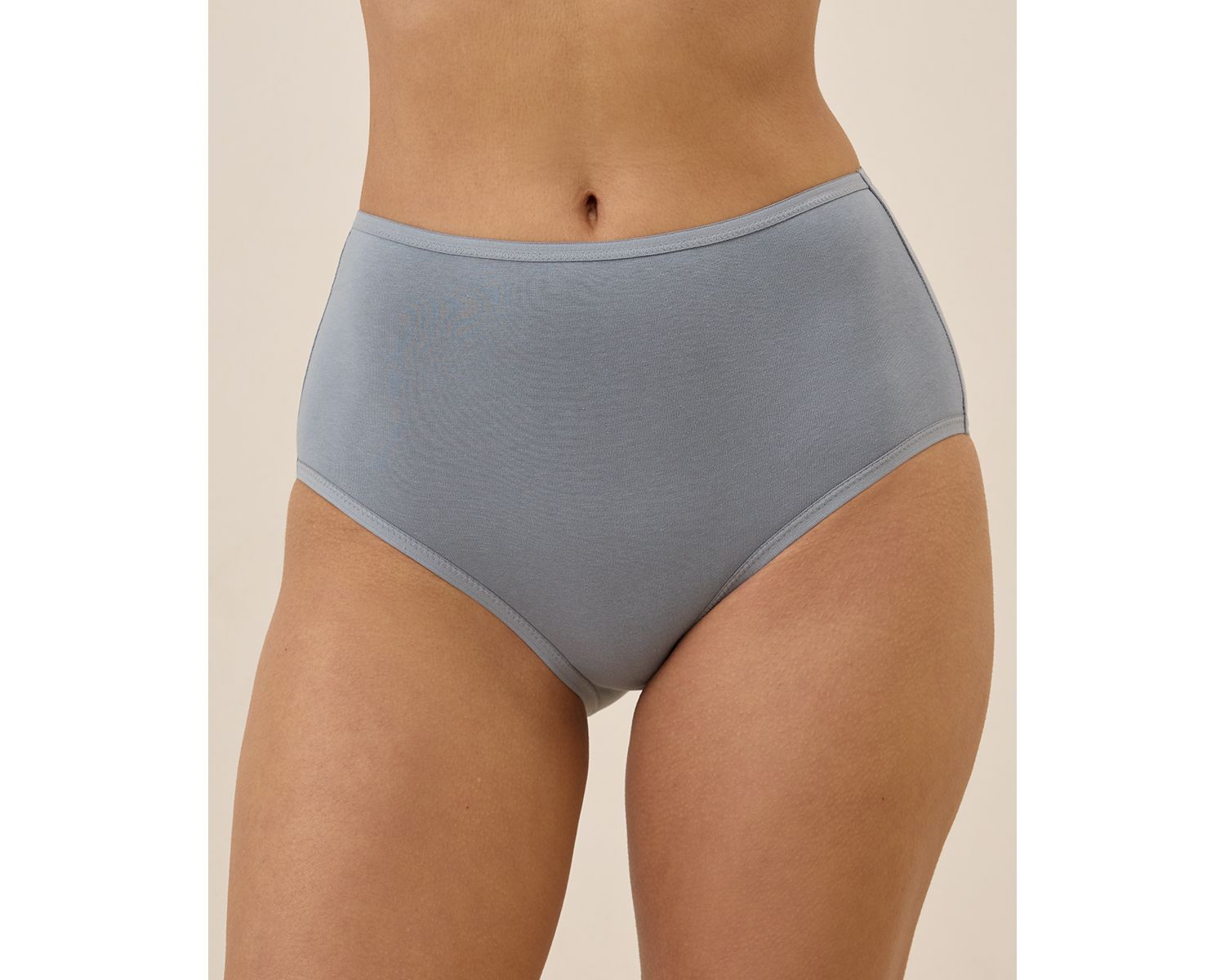 Women's Organic Cotton Everyday High Rise Brief 6-Pack