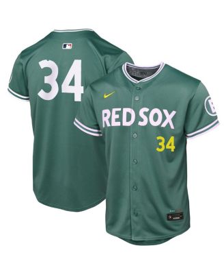 Nike - Big Boys and Girls David Ortiz Green Boston Red Sox 2025 City Connect Limited Retired Player Jersey