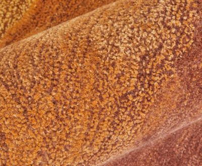 Anya 8921F 3'6"x5'6" Area Rug