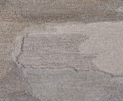 Anya 8921F 3'6"x5'6" Area Rug