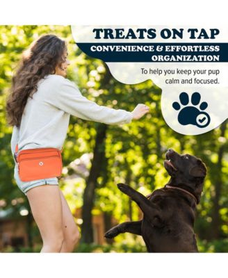 3-in-1 Dog Walk Bag & Travel Bowl with Matching Planet-Safe Dog Poop Bags