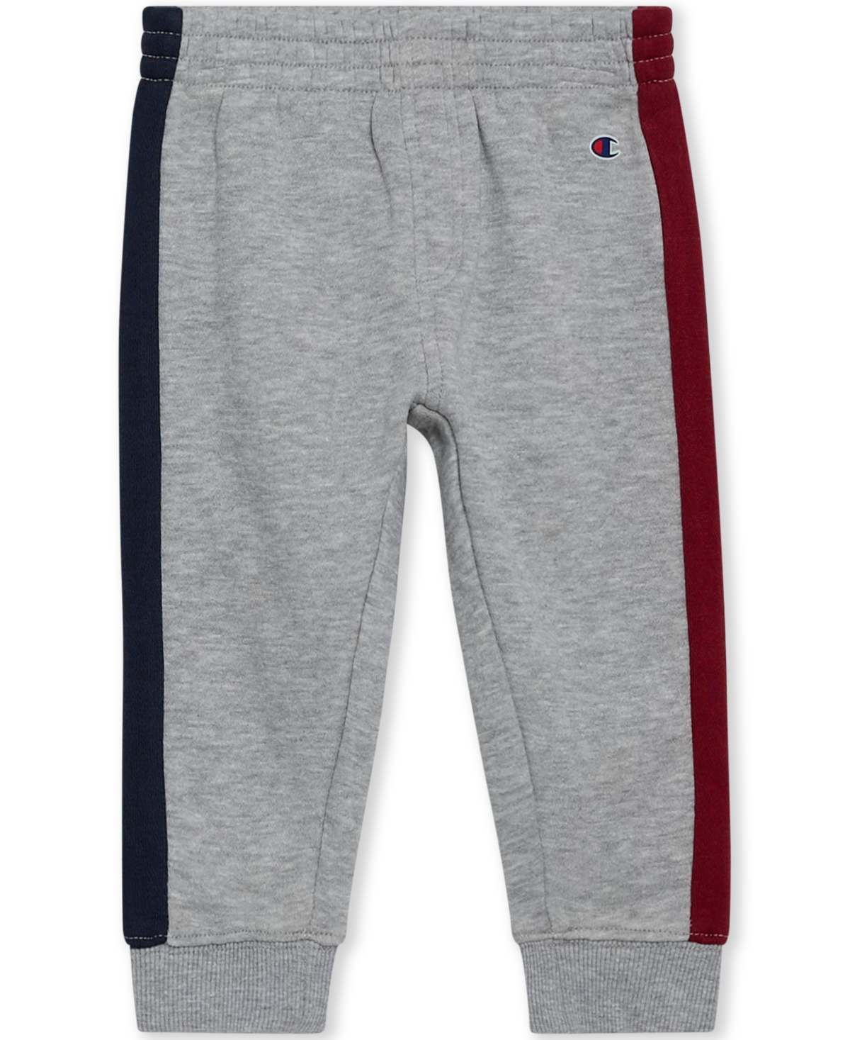Champion Baby Boys 2-piece Color Blocked Full Zip Fleece Hoodie And Joggers Set In Gray