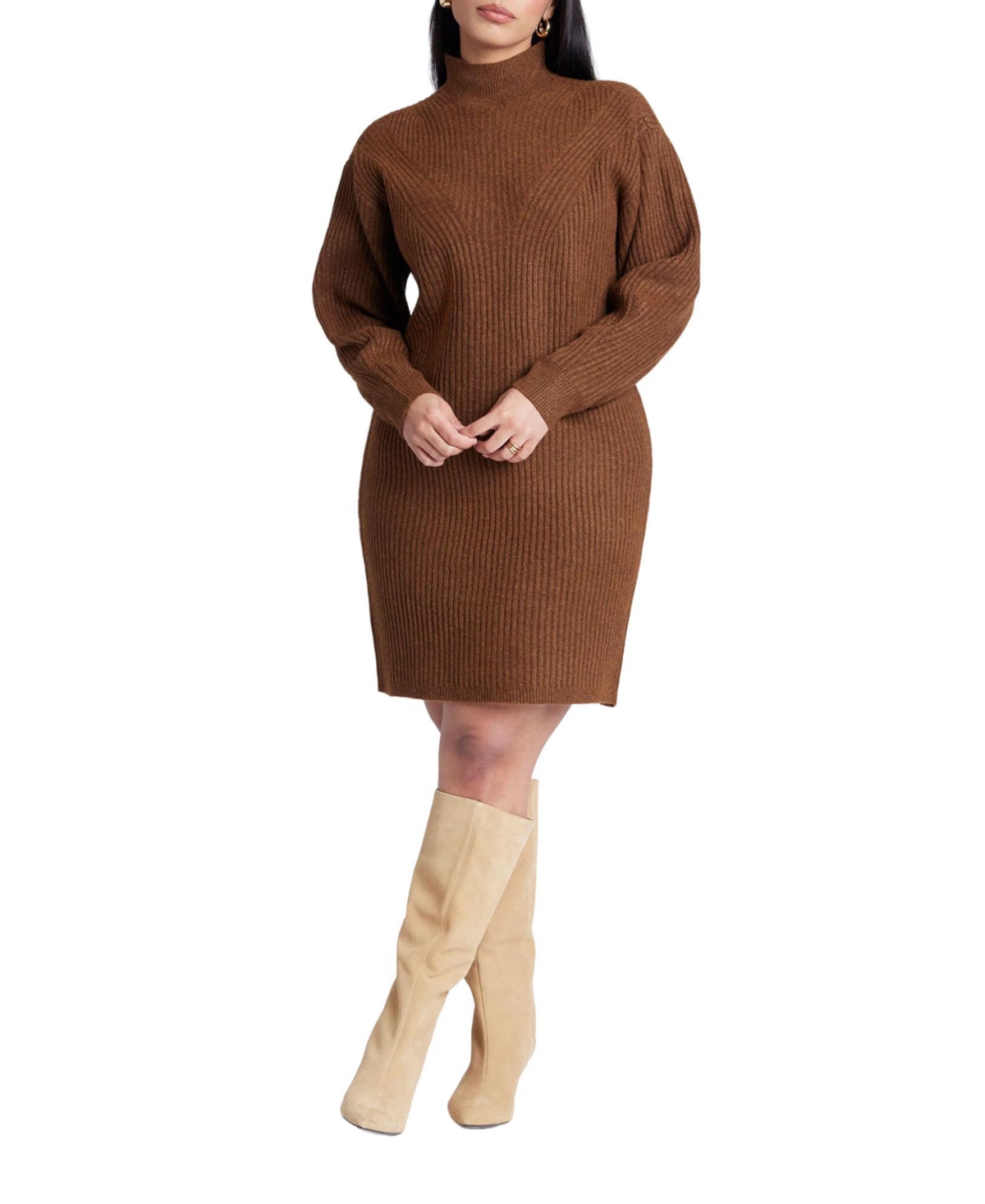 Women's Turtleneck Mini Sweater Dress - Chestnut