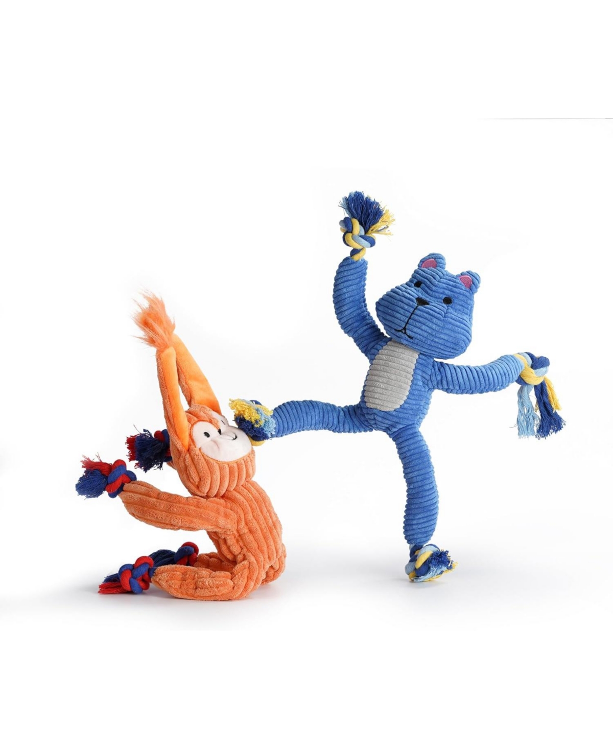 2 Pack Frog & Squirrel Dog Plush Toys, Christmas gift, Interactive Squeaky Tug Dog Toys with Crinkle Paper, Rope Chew Toys for All Breeds