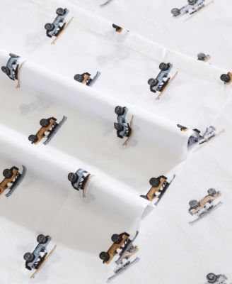 Printed 100% Cotton Percale 3-Pc. Sheet Set, Twin