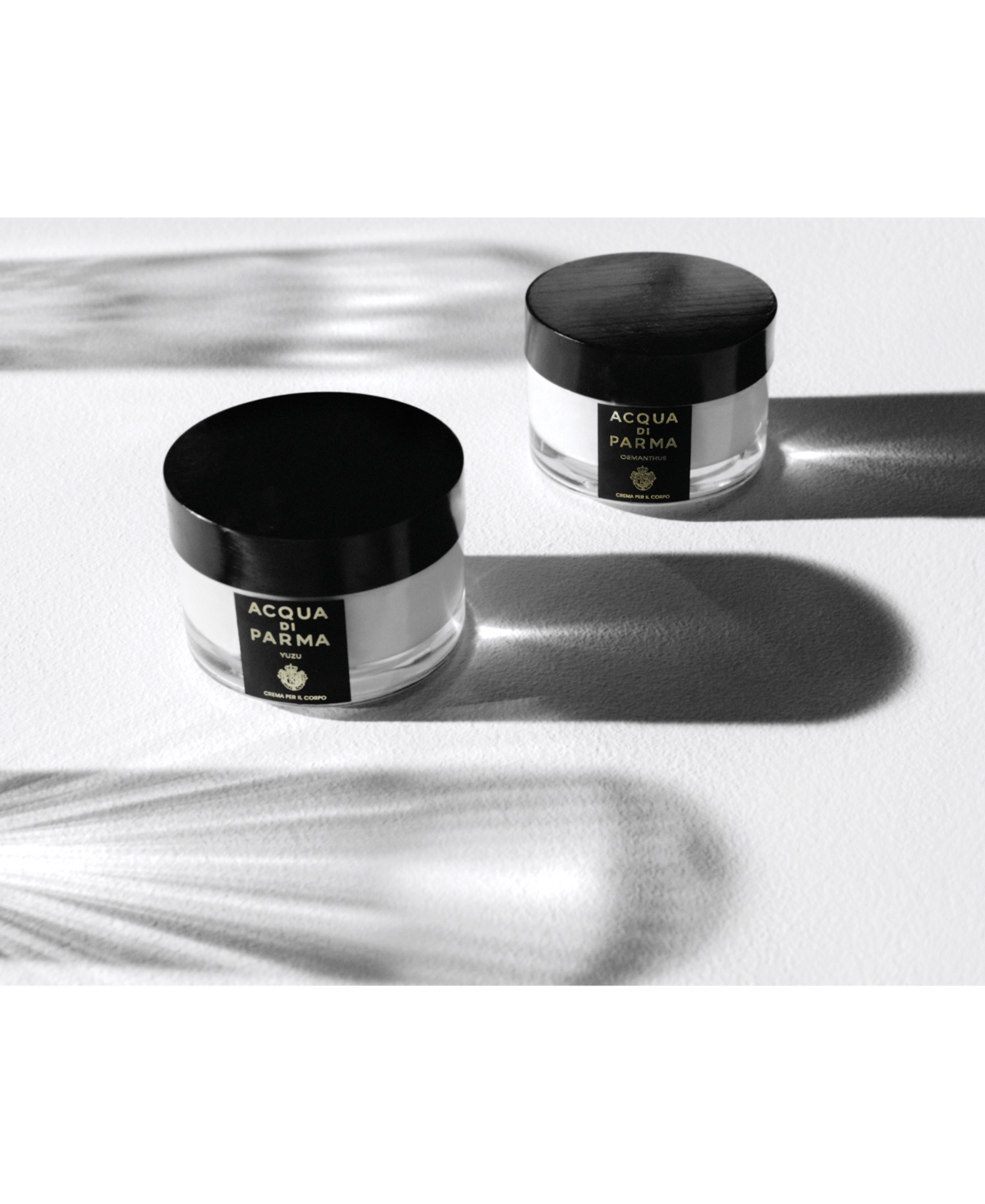 Acqua di Parma Osmanthus Body Cream, 5 oz.