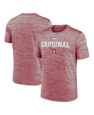 Nike - Men's Cardinal Stanford Cardinal 2025 Sideline Velocity Performance T-Shirt