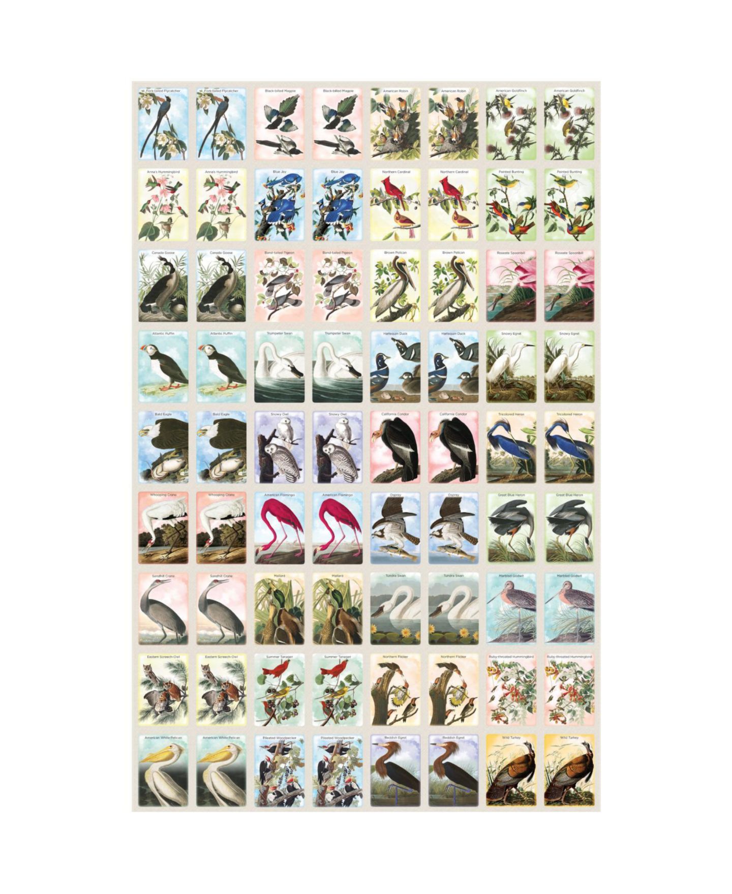 Детская игрушка MasterPieces Puzzles Audubon Memory Game, 72 Cards, Ages 14+ — фото 2