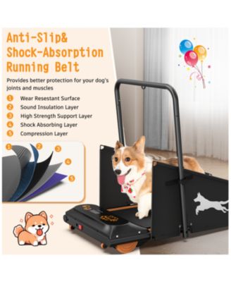 Dog Treadmill - Small & Medium Dogs - Run & Walk