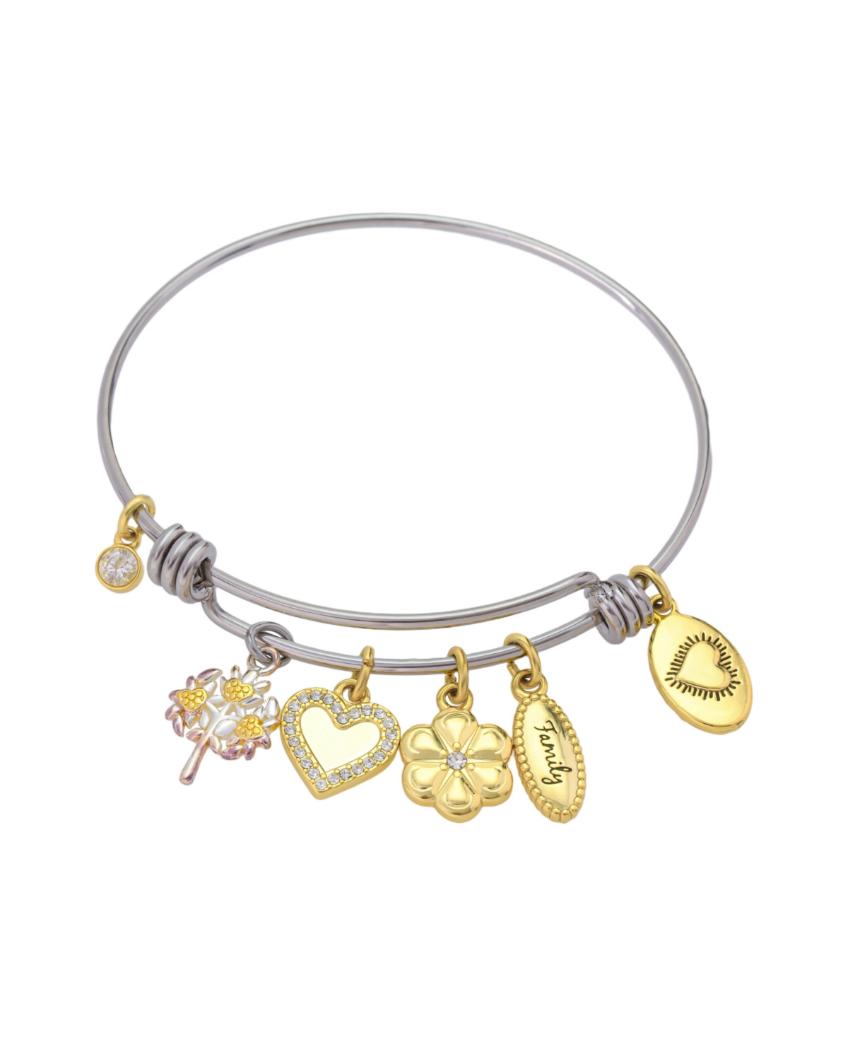 Unwritten Crystal And Cubic Zirconia Family Tree Cham Bangle Bracelet In Multi