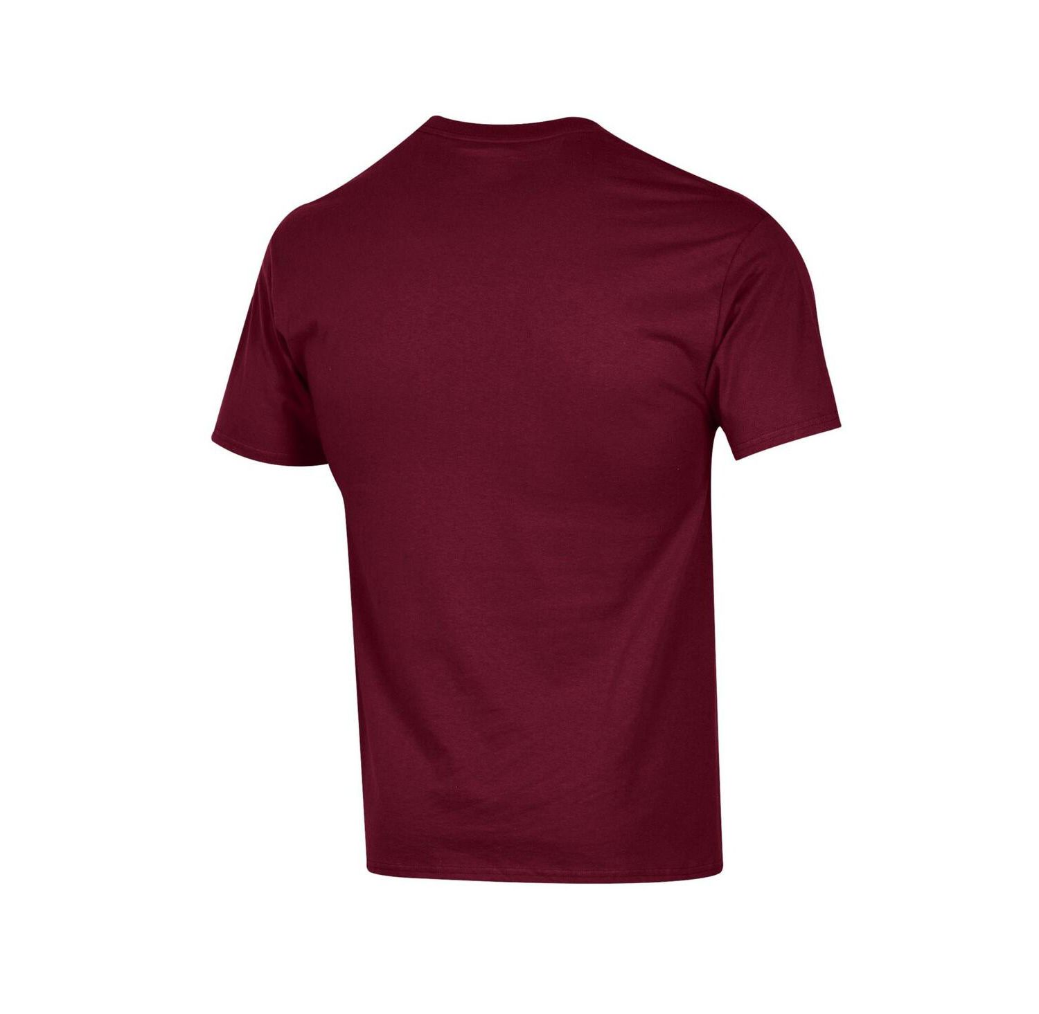 Men's Maroon Minnesota Golden Gophers Arch Over Logo T-Shirt