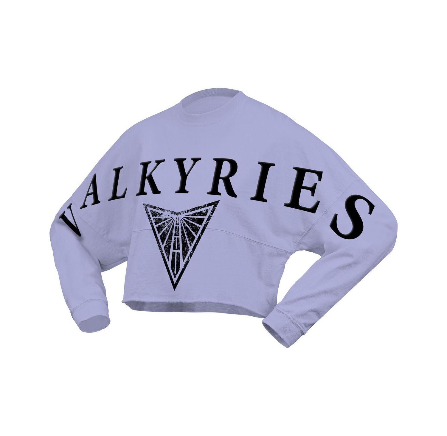 Women's Violet Golden State Valkyries Jumbo Print Oversized Cropped Long-Sleeve T-Shirt