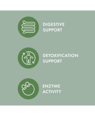 Bark & Whiskers Organic Fermented Mushroom Blend for Cats and Dogs, 2.11 Oz. (60g), 60 Scoops, Supports Digestive and Immune Function, Veterinarian Formulated, Non-GMO, USDA