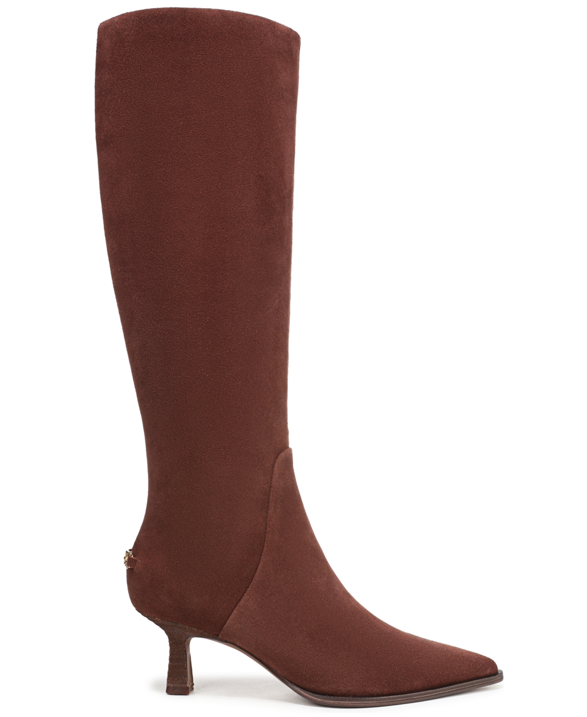 Circus Ny By Sam Edelman Yulia Pointed Toe Knee High Boot In Brown