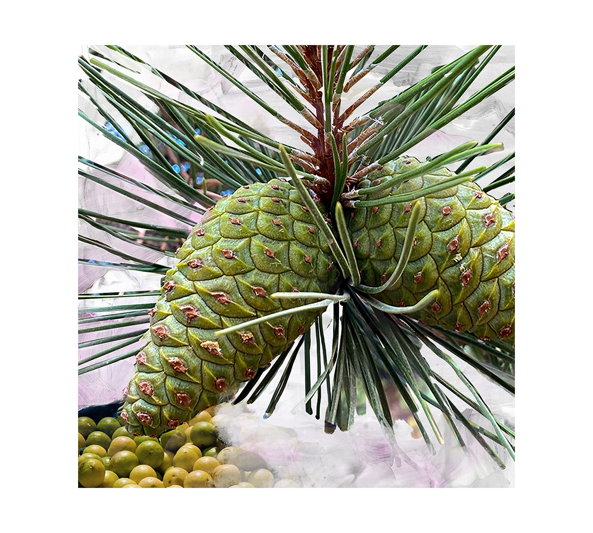 Byredo Gypsy Water Body Lotion, 7.6 oz.