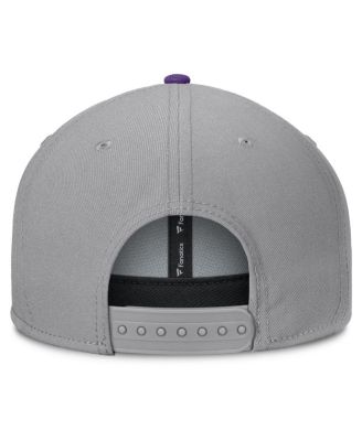 Men's Gray Washington Huskies Duo Snapback Hat