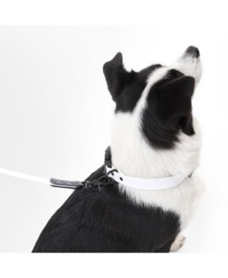 Luna 8FT Adjustable 6-in-1 Waterproof Hands-Free Leash and Collar with LED Flashlight, Bag Dispenser, and Poop Bag Holder