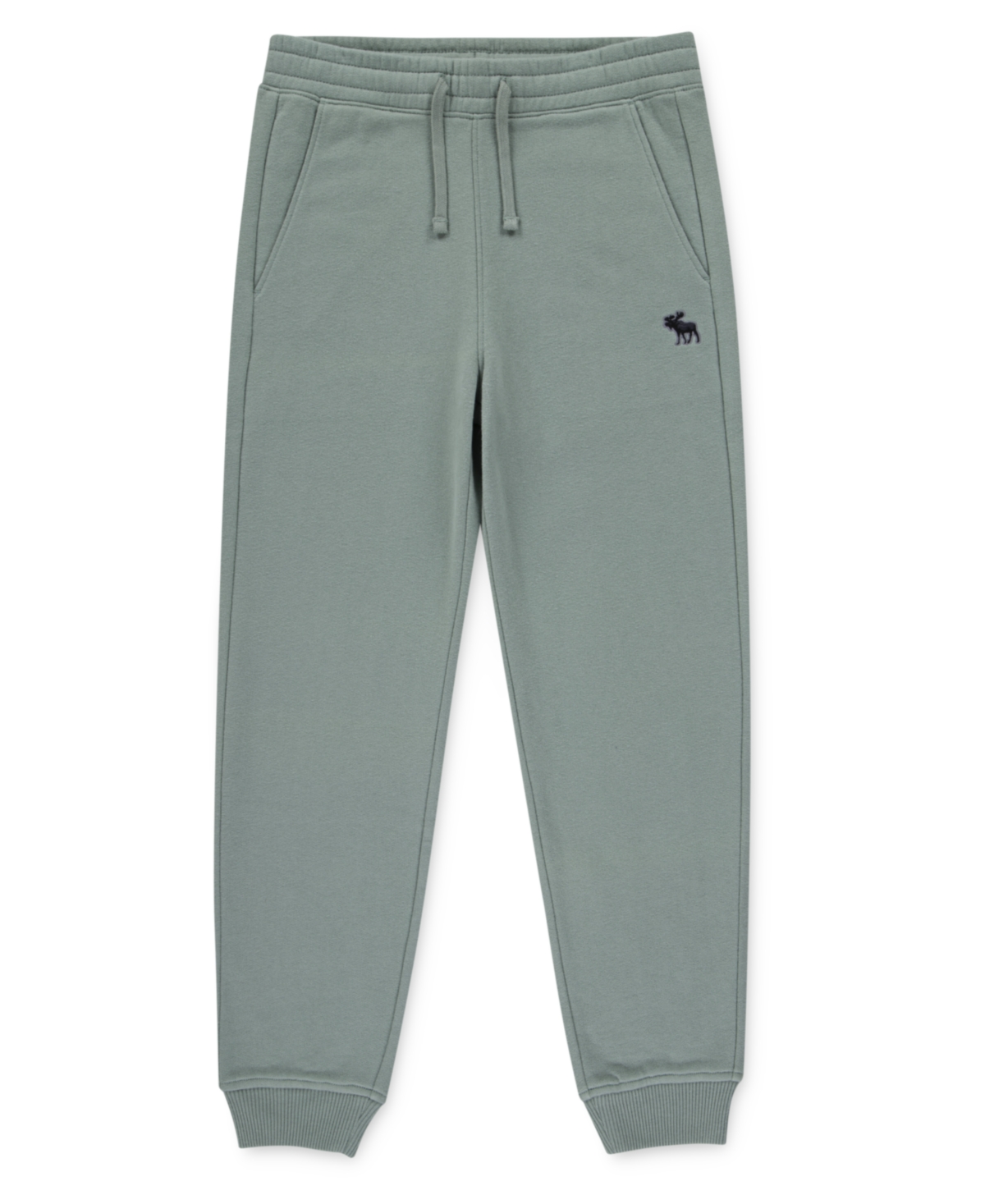 Abercrombie Boys Essential Fleece Jogger Pants In Green