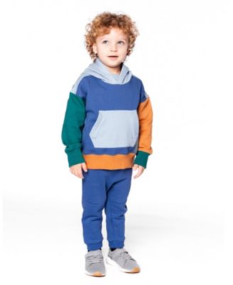 Boy Long Sleeve Colorblocked Hooded Fleece Sweatshirt Blue - Toddler|Child