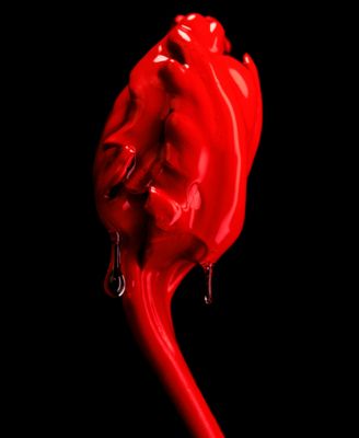 Rose Of No Man's Land Absolu de Parfum Spray, 1.6 oz.