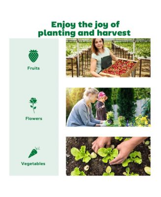 8.6 x 3 x 1ft Raised Garden Bed with Mini house