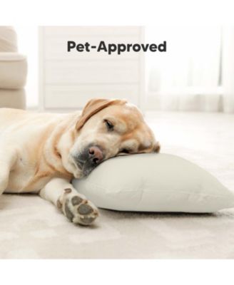 Toddler Pillow with Pillowcase, Small Pillow for Sleeping