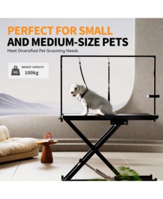 Professional Electric Dog Grooming Table (50" Black)