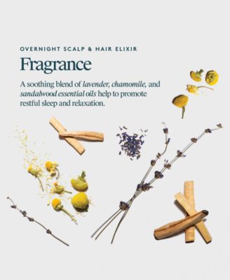 Overnight Scalp & Hair Elixir