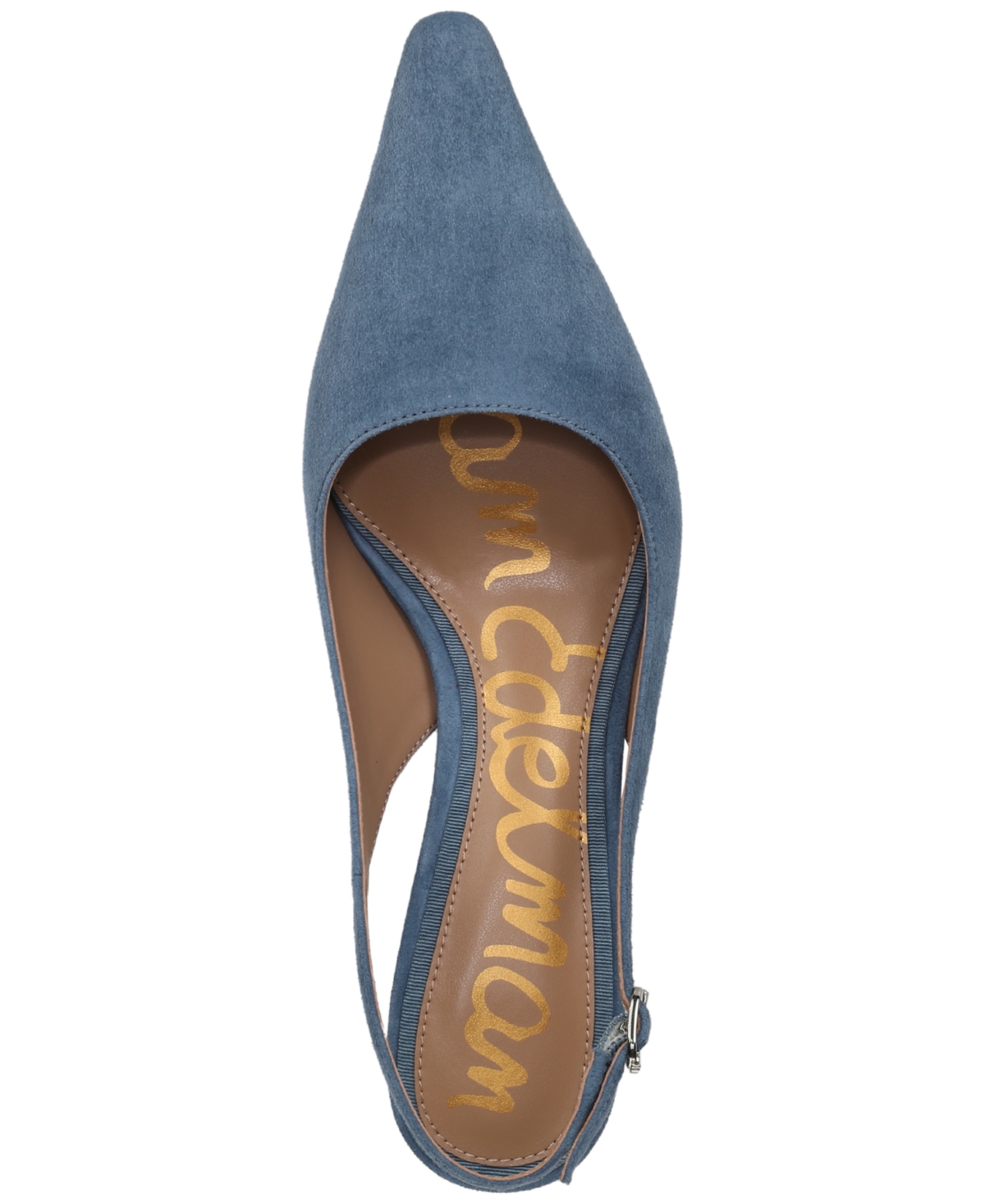 Sam Edelman Bianka Slingback Pointed Toe Pump In Blue