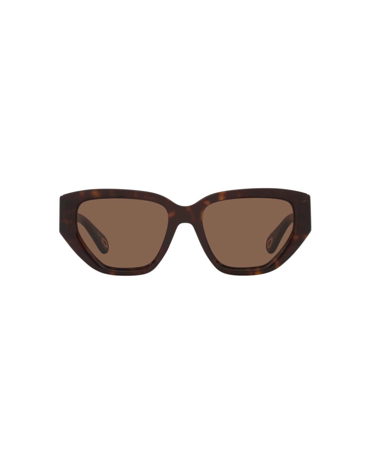 Chloé Women's Cat Eye Sunglasses, Ch0235s 6n000529 In Brown