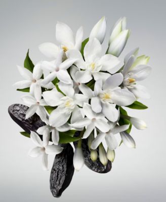 2-Pc. Good Girl Eau de Parfum & Liquid Lipstick Gift Set, Created for Macy's