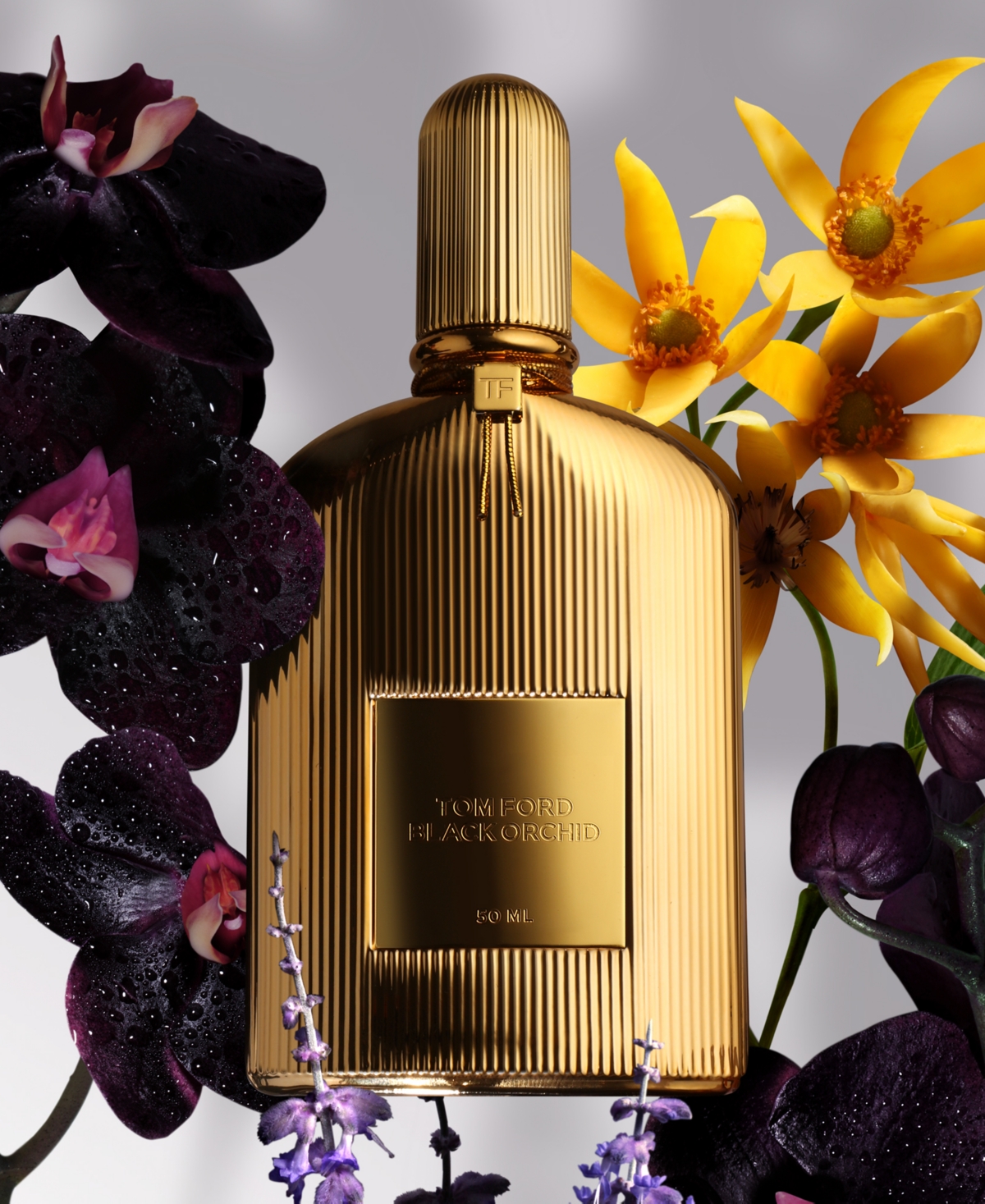 Tom Ford 4-pc. Black Orchid Fragrance Discovery Set In Transparent