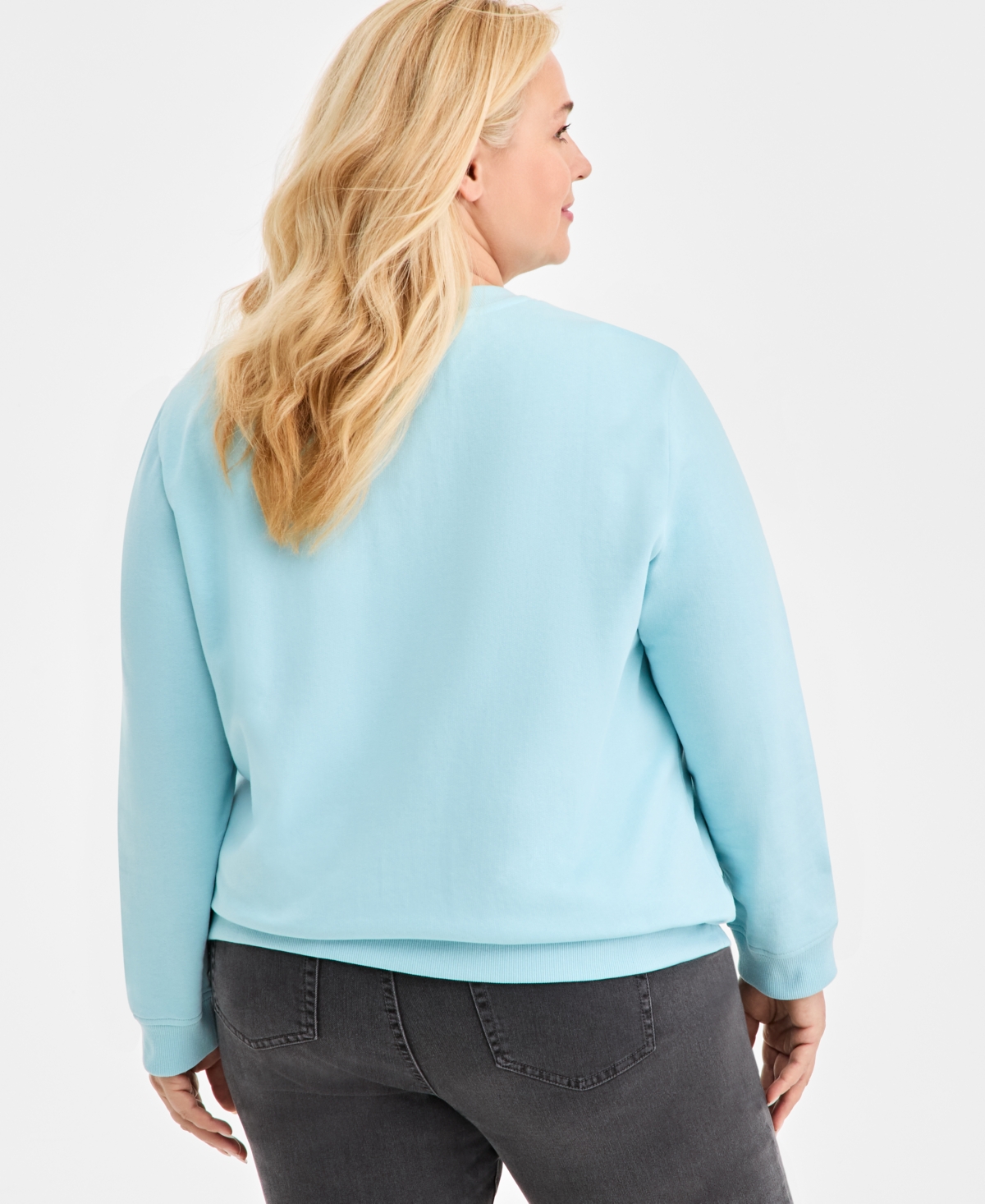 Style & Co Plus Size Embroidered Crewneck Sweatshirt, Macy's Exclusive In Blue