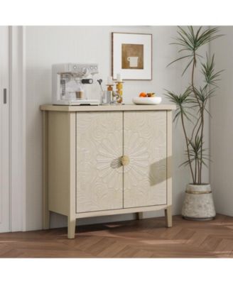 Storage Cabinet with 2 door