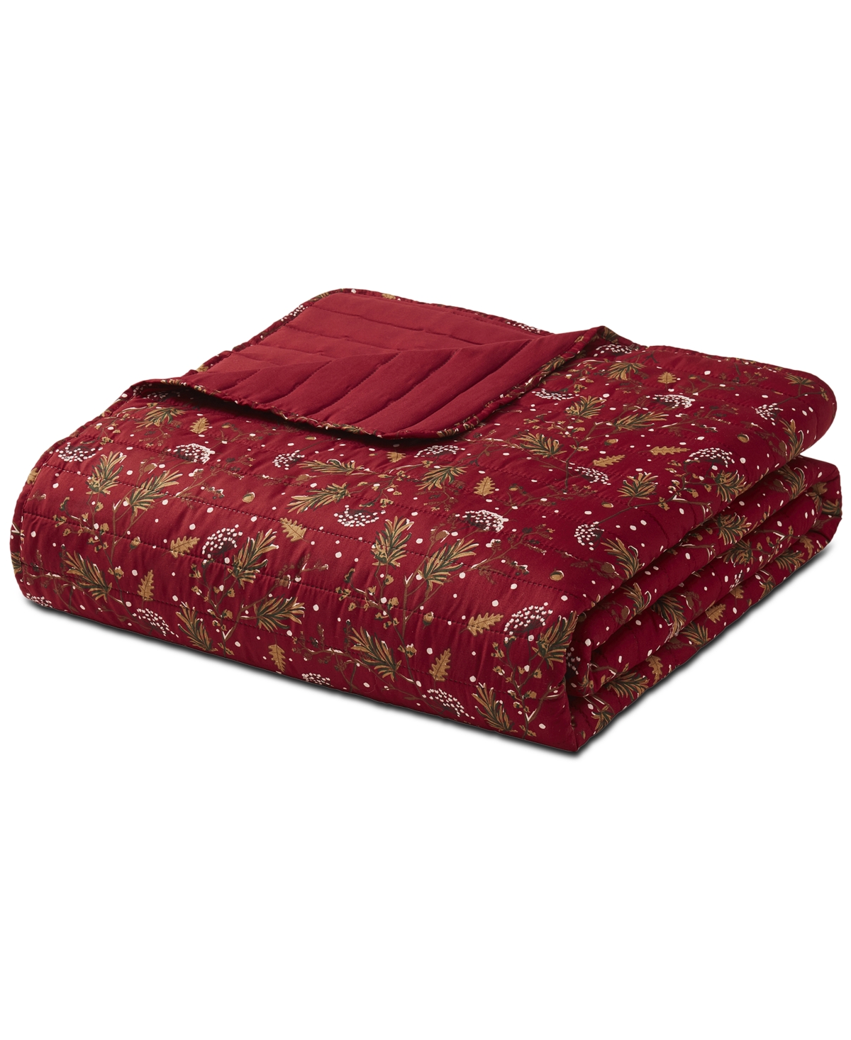 Seventh Studio Ivvy Botanical-print Pinsonic Microfiber 3-pc. Quilt Set, Full/queen In Red