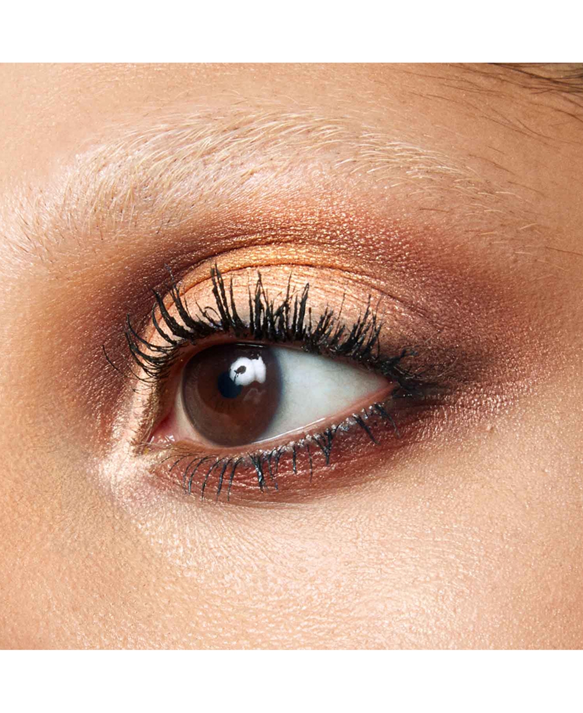 Byredo 5 Colours Eyeshadow In Transparent