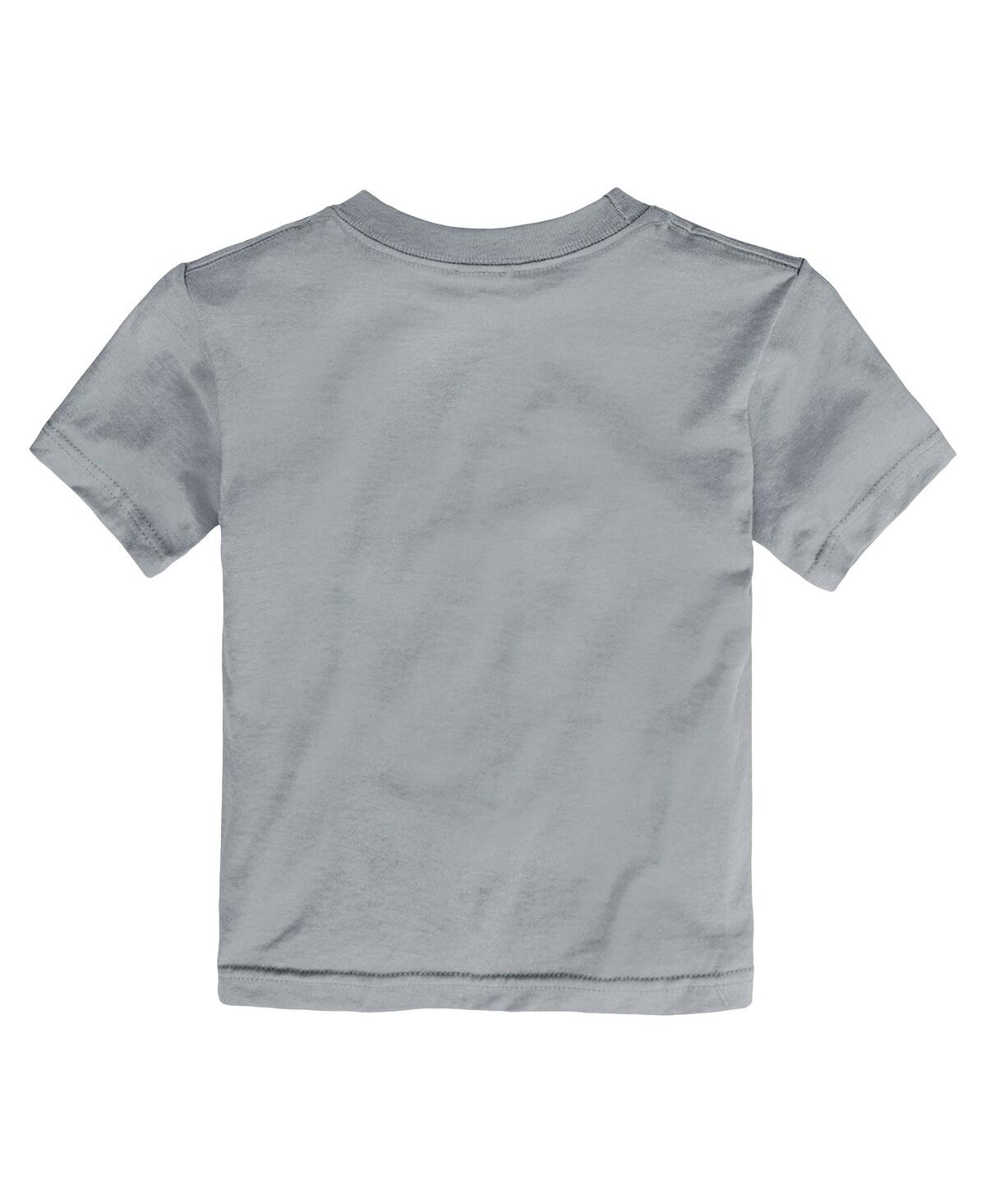 Nike Toddler Gray Dallas Cowboys Icon Legend T-shirt In Gray